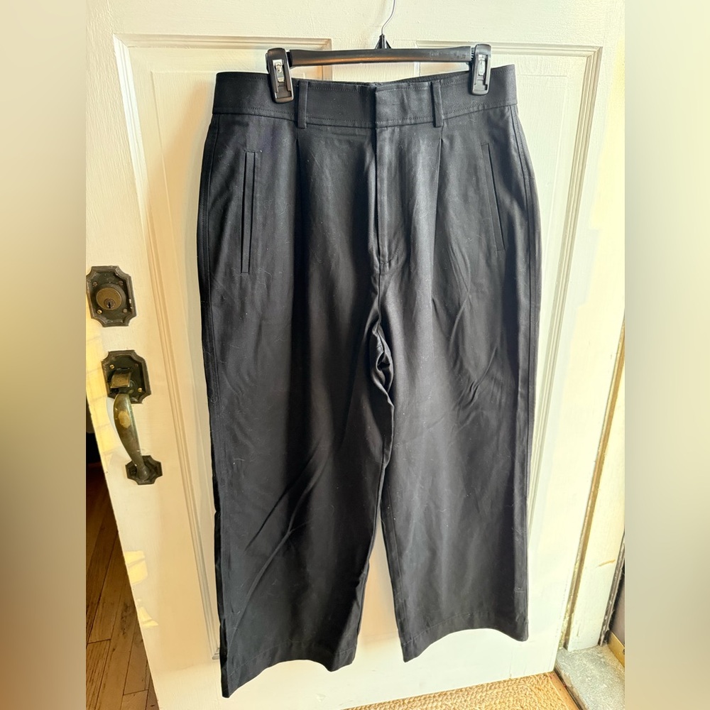 Black Everlane Drape Pleated Wide-Leg Trousers